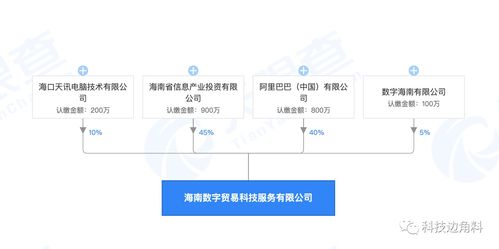 阿里巴巴入局，攜手共建海南數字貿易新篇章